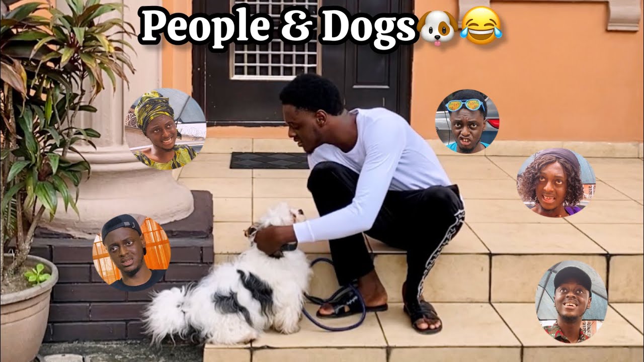 Types of People when they Meet Dogs/Dog Owners