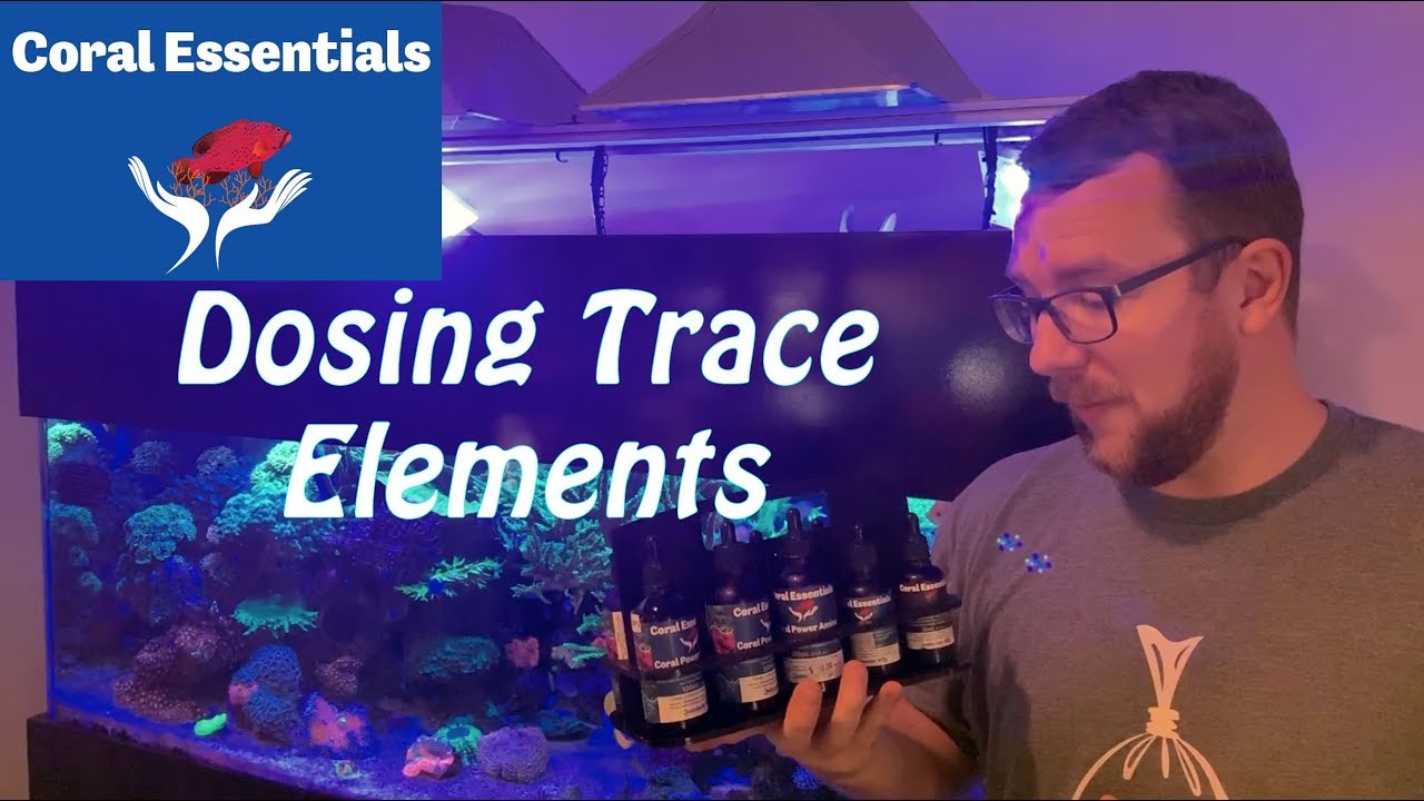 Dosing Coral Essentials Trace Elements