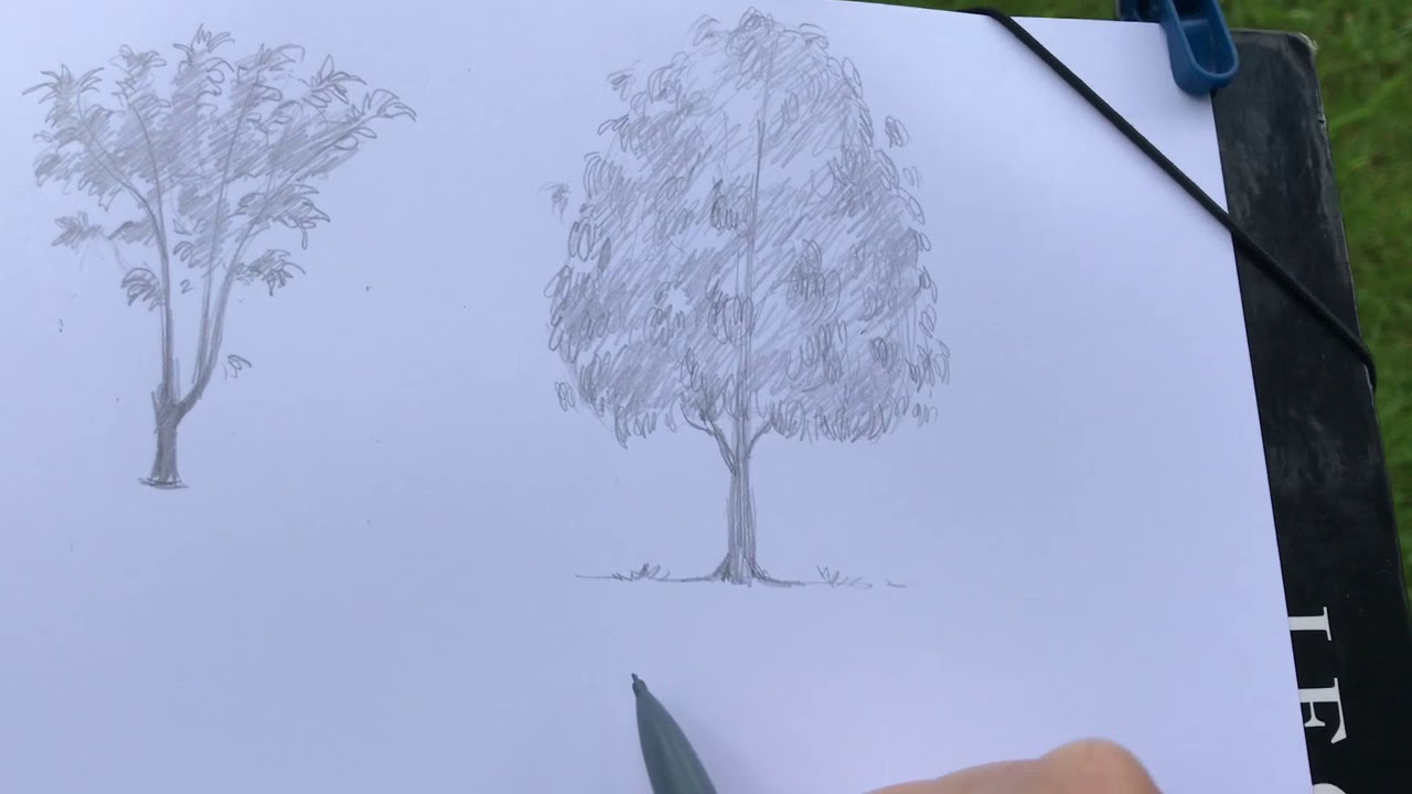 Croquis arbres