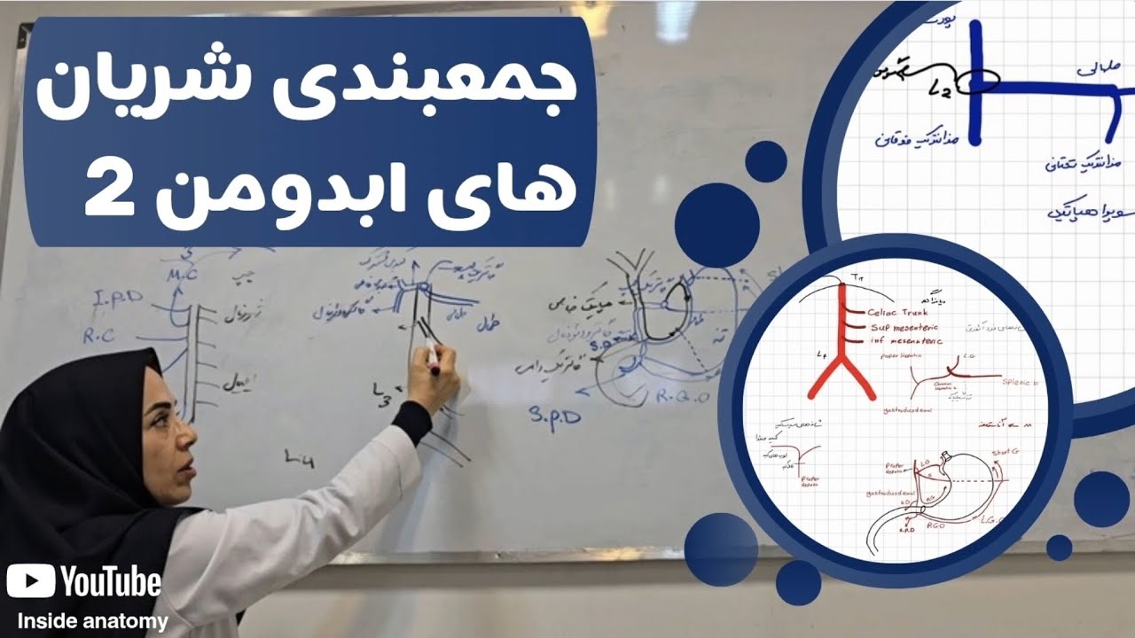 شریان‌های دستگاه گوارش  2 | جمع‌بندی سریع آناتومی❗️⏱️Overview of Arteries