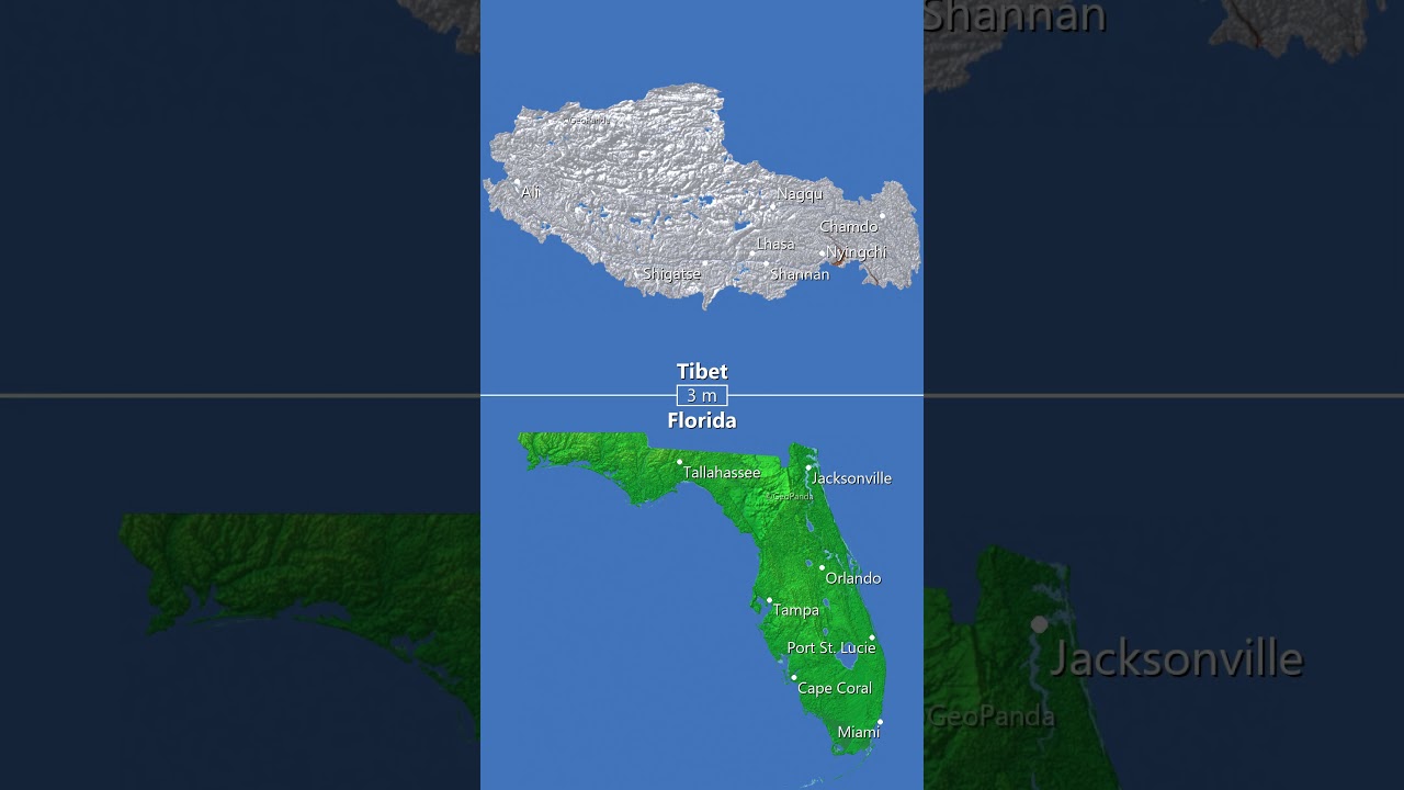Meme Battle: Tibet 🇨🇳 vs Florida 🇺🇸!🏔️🌴#geography #mapbattle #tibet #florida #usa