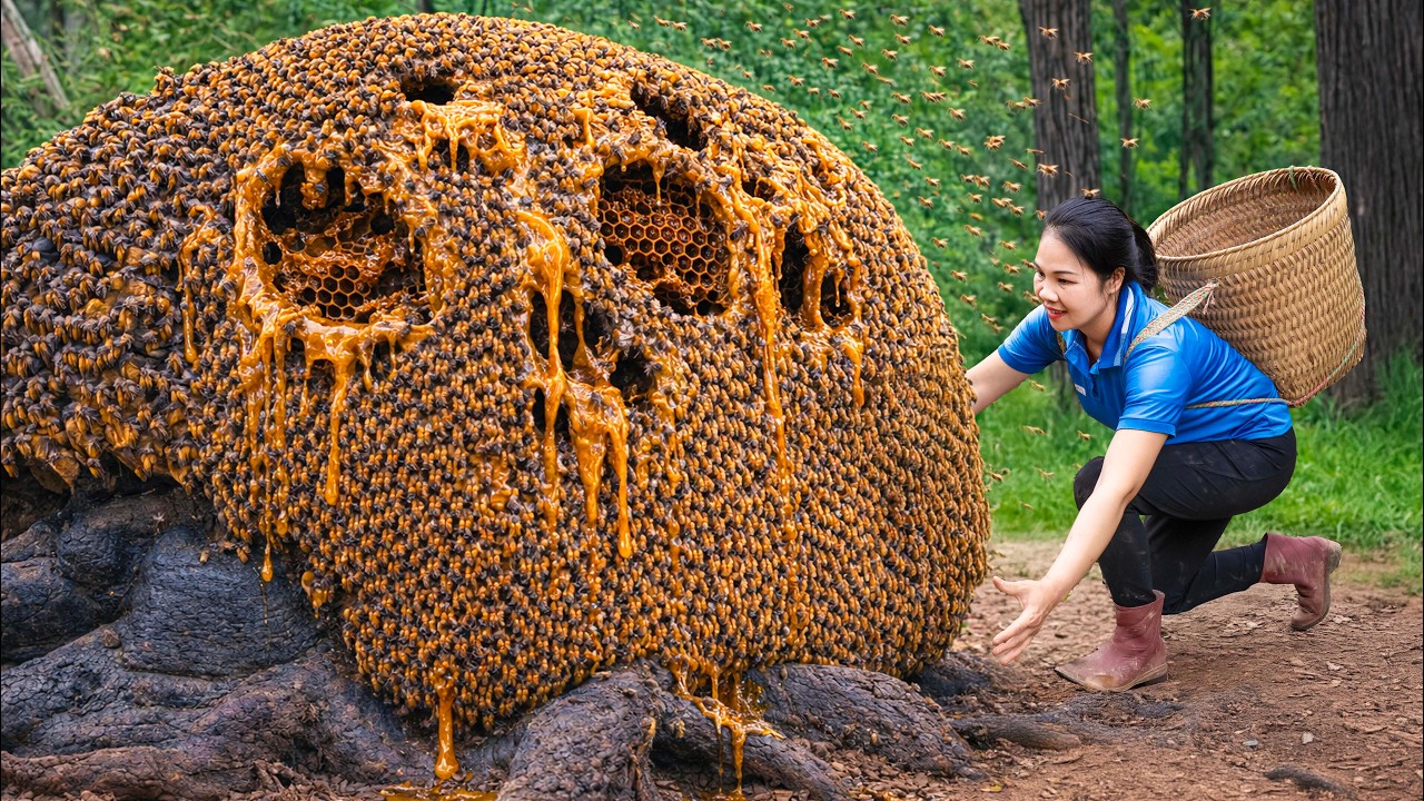 Harvesting 1000+ Giant Death Honey & Go to Market Sell | Millions venomou bee attack | Lý Thị Hằng