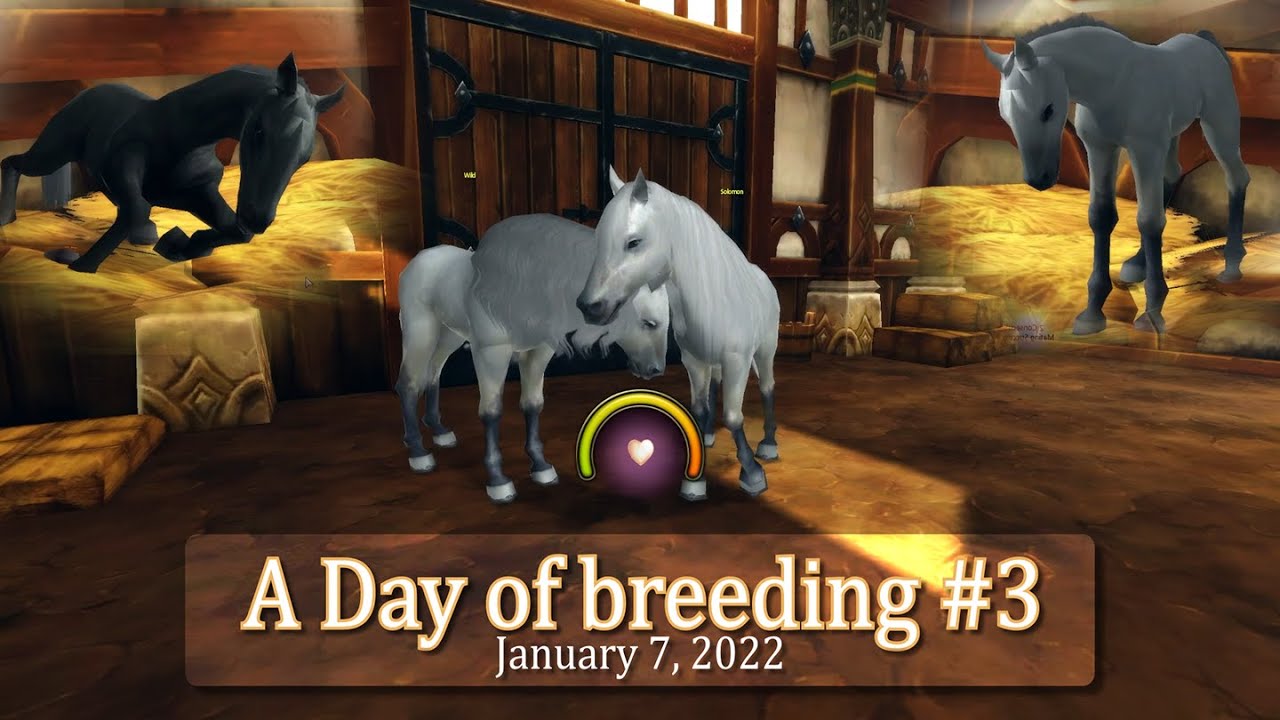 A Day of Breeding! #3 - Black and White! || KaileyDarkStar