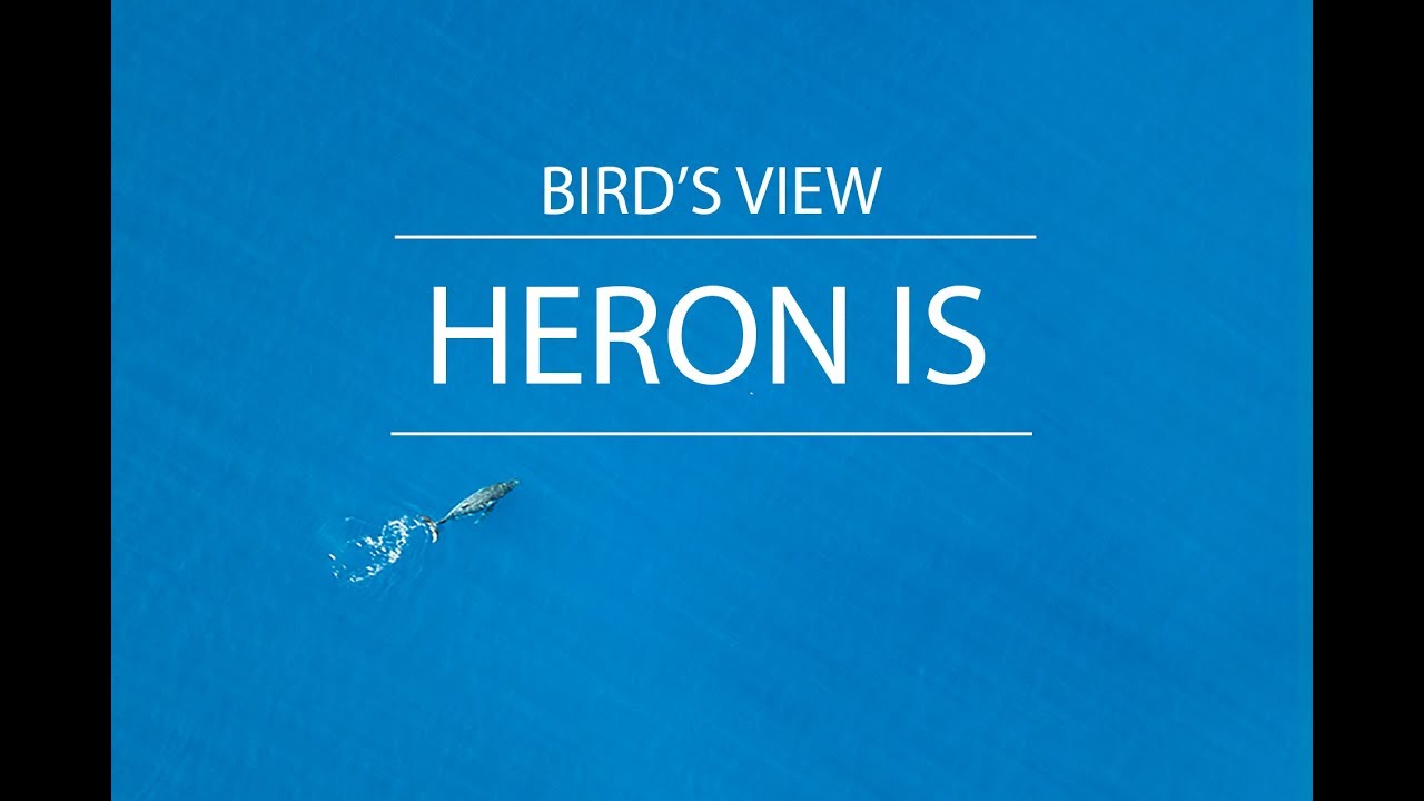 Heron Island | Birds View | Turtles View