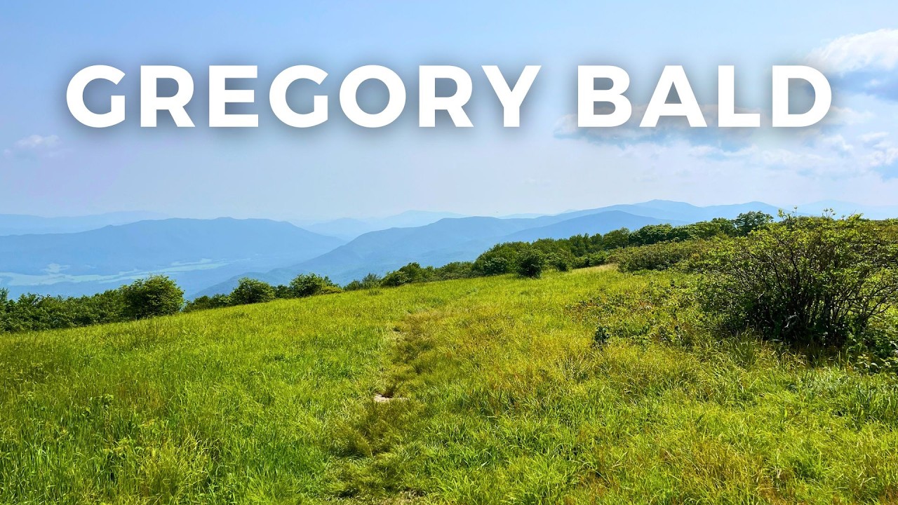 Gregory Bald Hike – Flame Azaleas Blooming in the Smoky Mountains