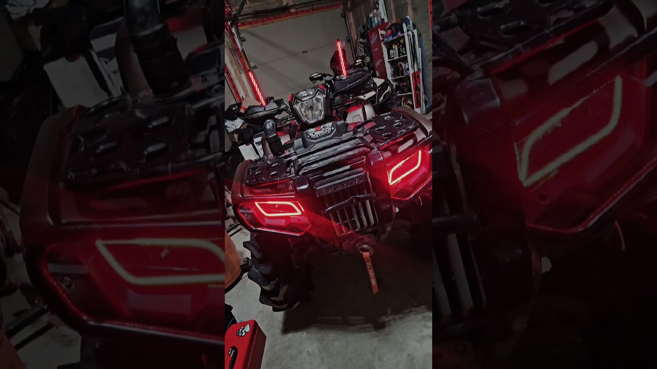 Honda Rubicon Halos & Whips @farmudding  👁 👁 🔥🔥