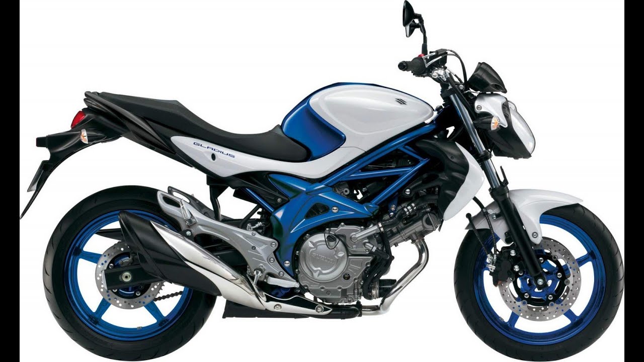 Suzuki SFV650 Гладиолус