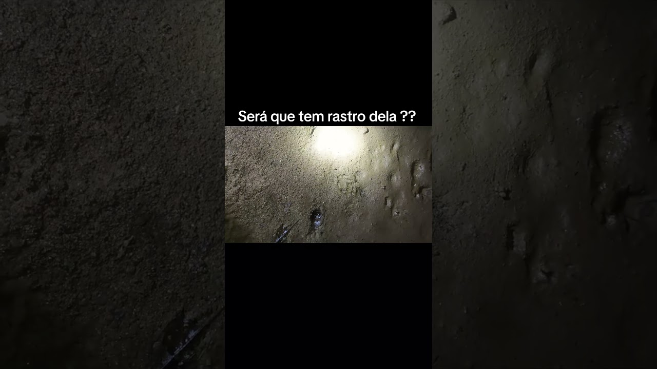 caçada de paca, só conferindo as Furnas pra ver se tá boa . olha a quantidade de rastros.