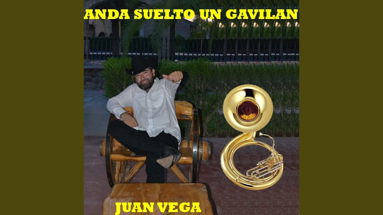 Anda Suelto un Gavilan