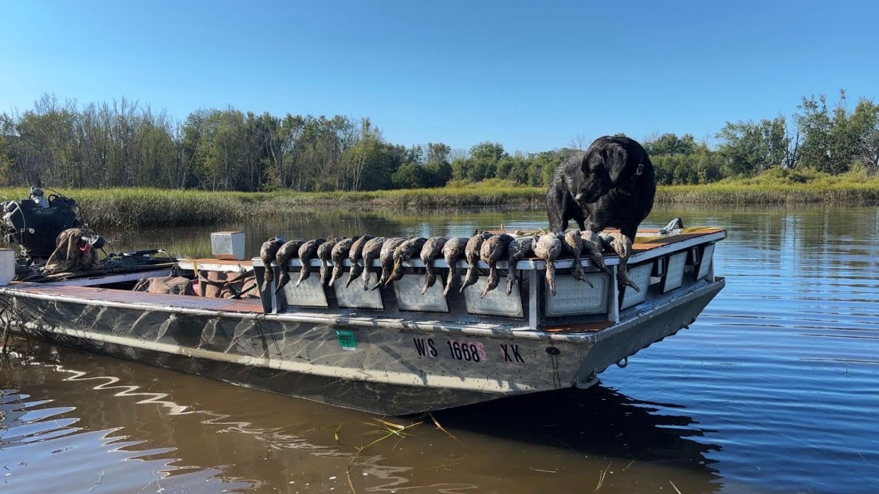 3 man limit hunting Wisconsin early teal opener