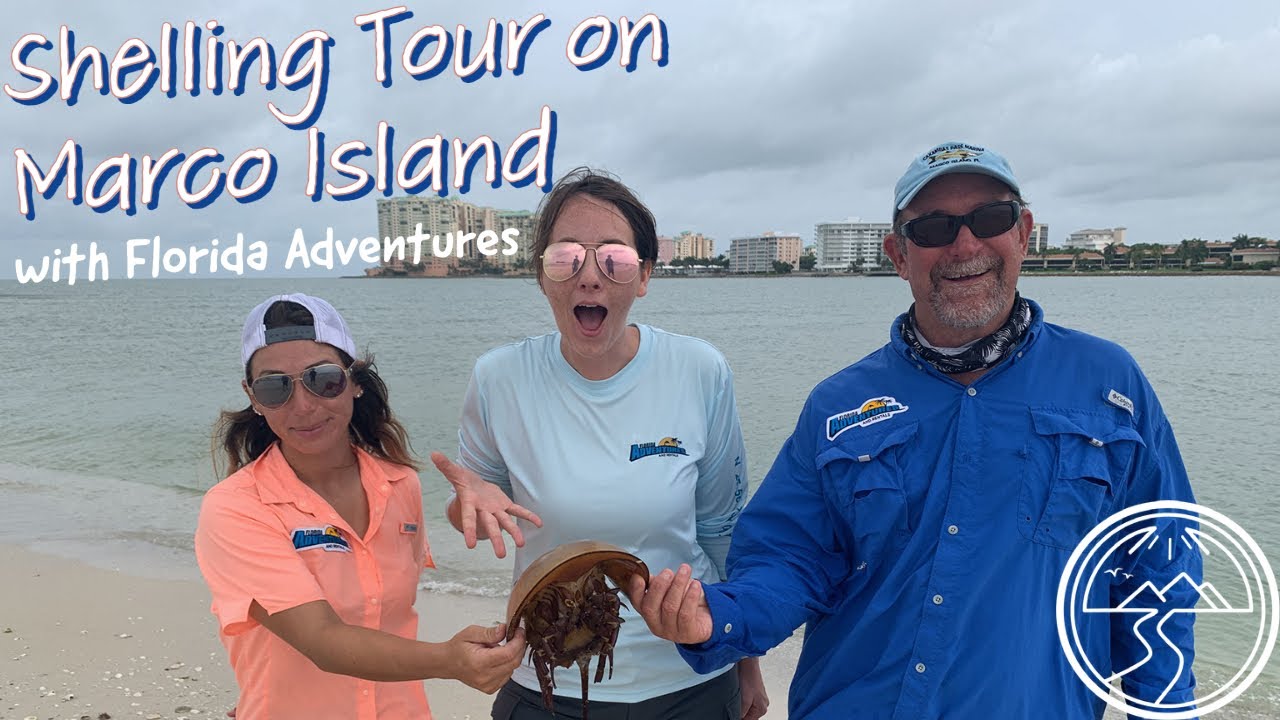 Marco Island Cape Romano Shelling Tour with Florida Adventures