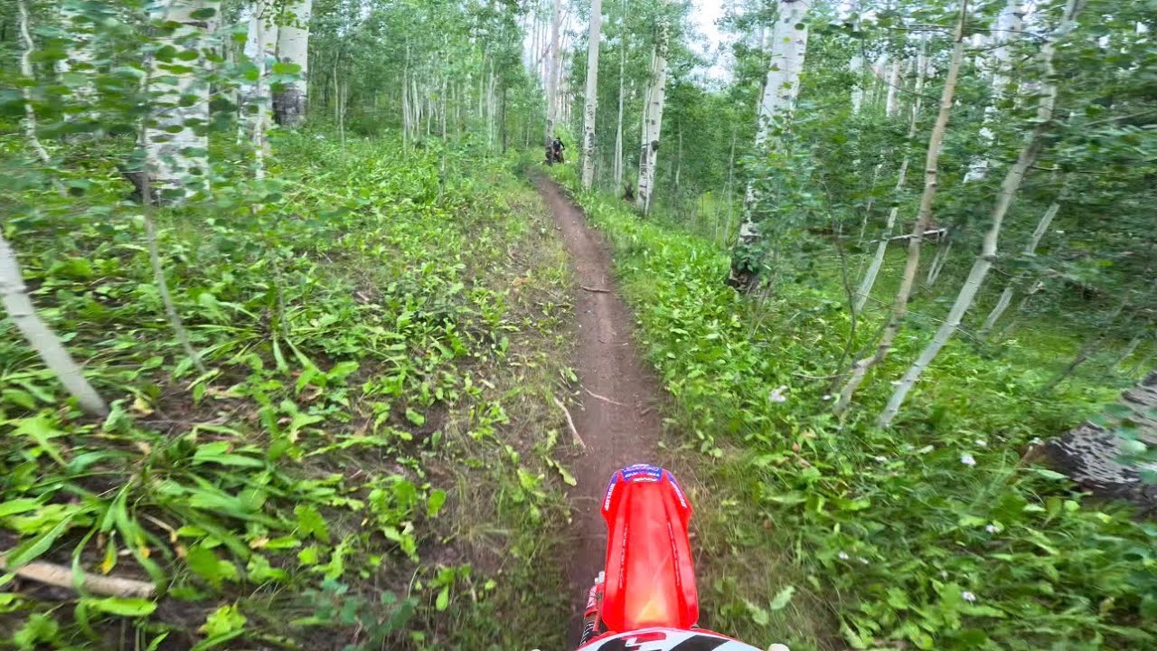 Incredible Single Track Riding. The absolute best riding I’ve ever experienced. 