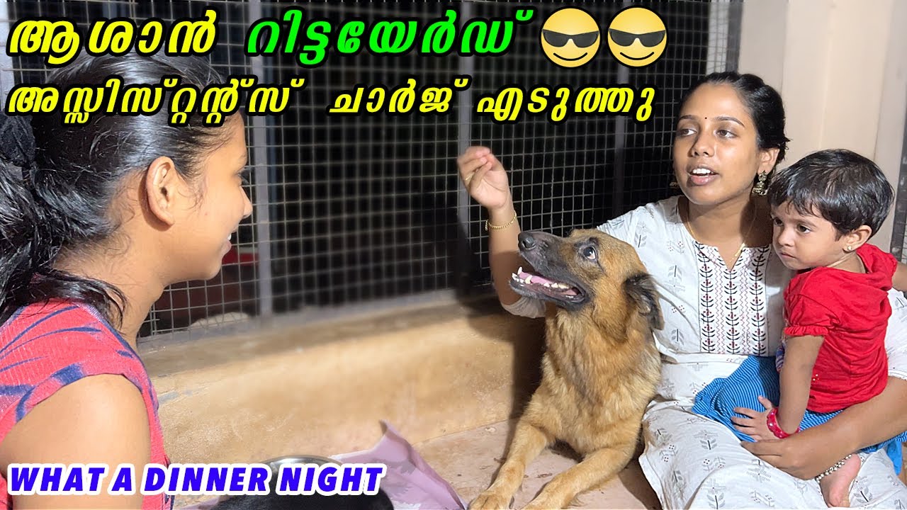 😍😍 ഡിന്നർ പിള്ളേര് കൊടുക്കും : Night food for puppies : labrador german shepherd mix