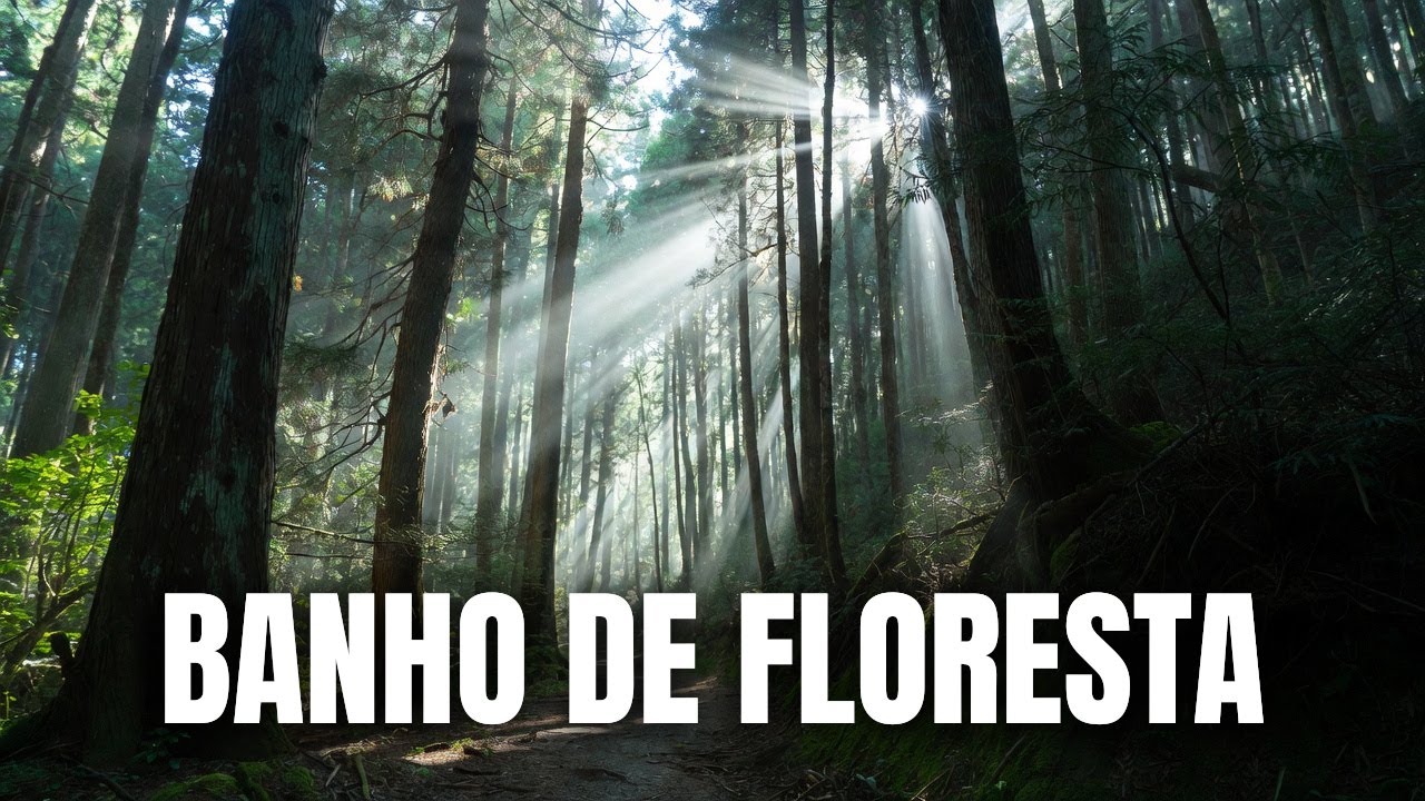 1 Hora de Shinrin-yoku: Caminhada em Floresta Japonesa (Sons da Natureza)