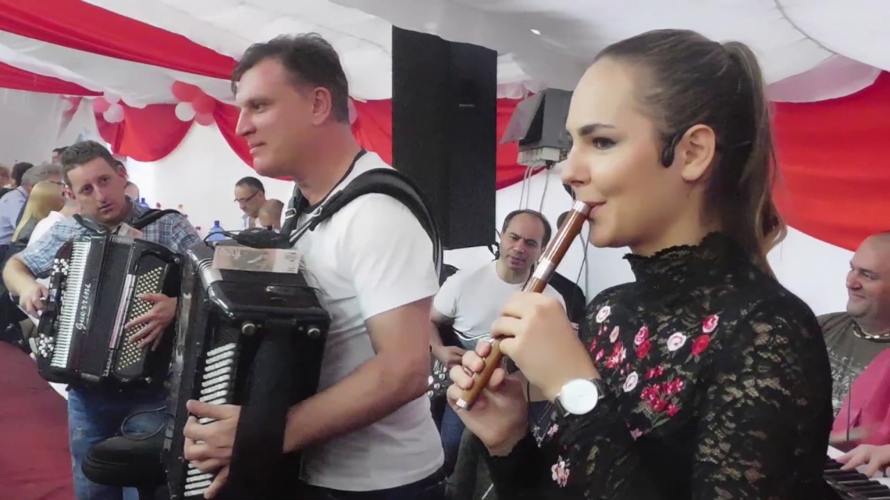 Darko Glisic sa svojim orkestrom & Neda Nikolic _ splet kola 2