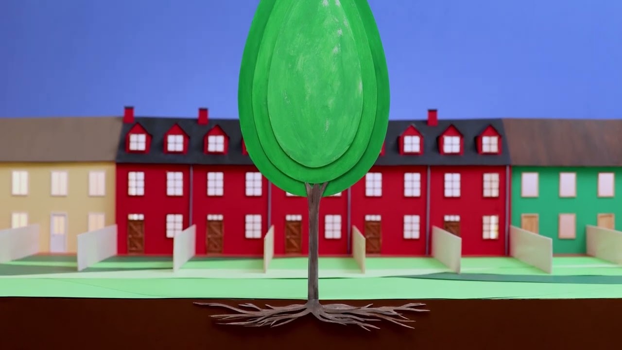 Alles over vorm en grootte van een boom of struik