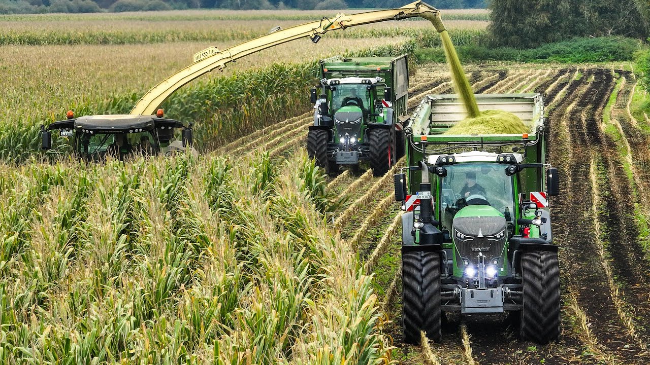 Mais 2023 - Krone BiG X 1180 | 4x Fendt 900 | Große Bohne