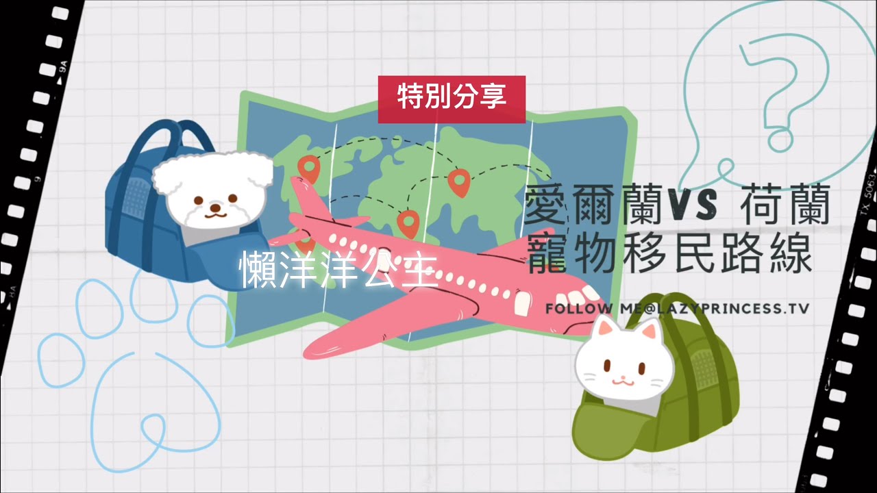 #寵物移民 #出走英國 #移民英國 #帶寵物移民 【路線對比】愛爾蘭 vs 荷蘭水路線 ，Nottingham做目的地為藍本 ｜懶洋洋公主  Lazy Princess ˘ᴗ ˘)
