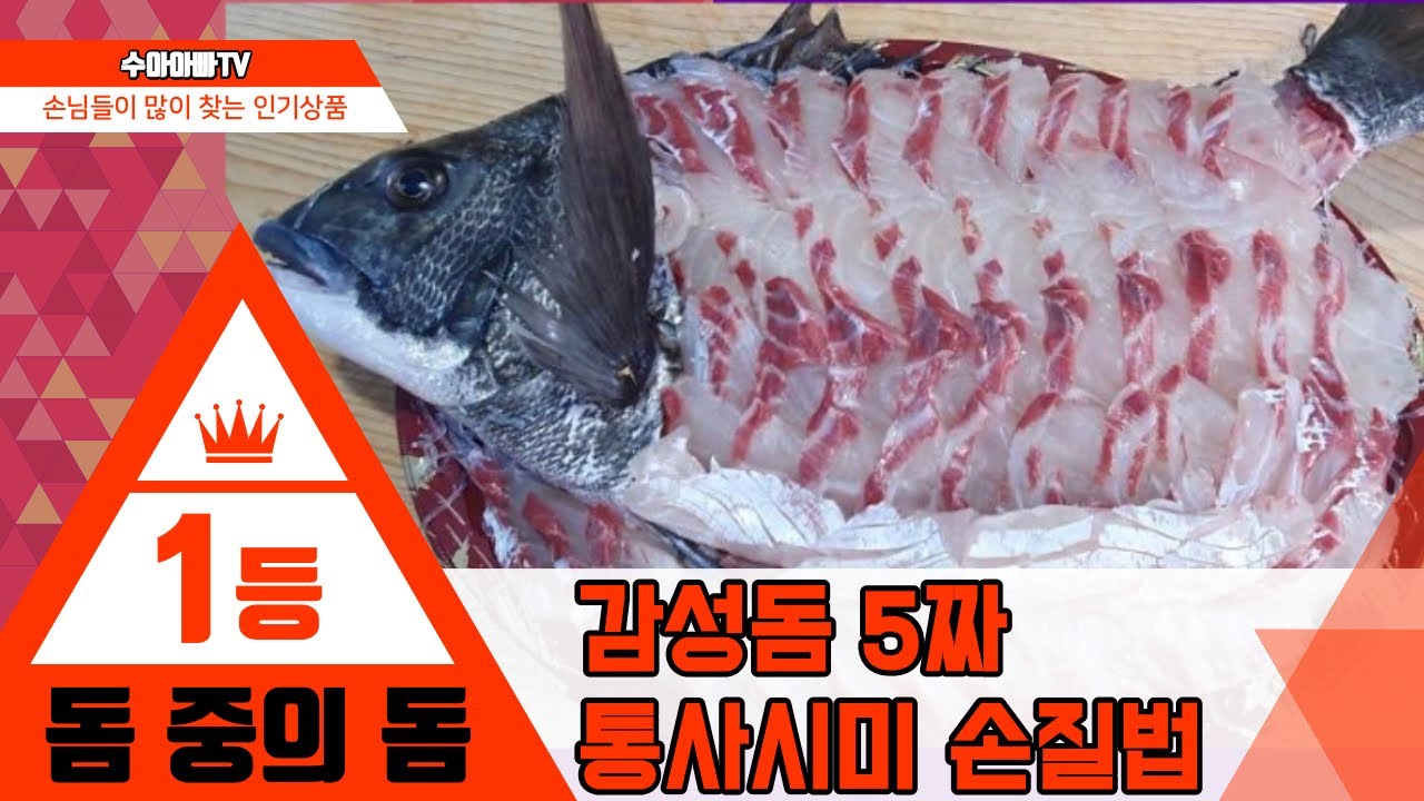 *돔 중의 돔 5짜 2.2Kg 대물 감성돔 회뜨기* 낚시로 잡은 자연산 감성돔 통사시미 손질의 모든것! How to fillet Black seabream. [수아아빠TV]