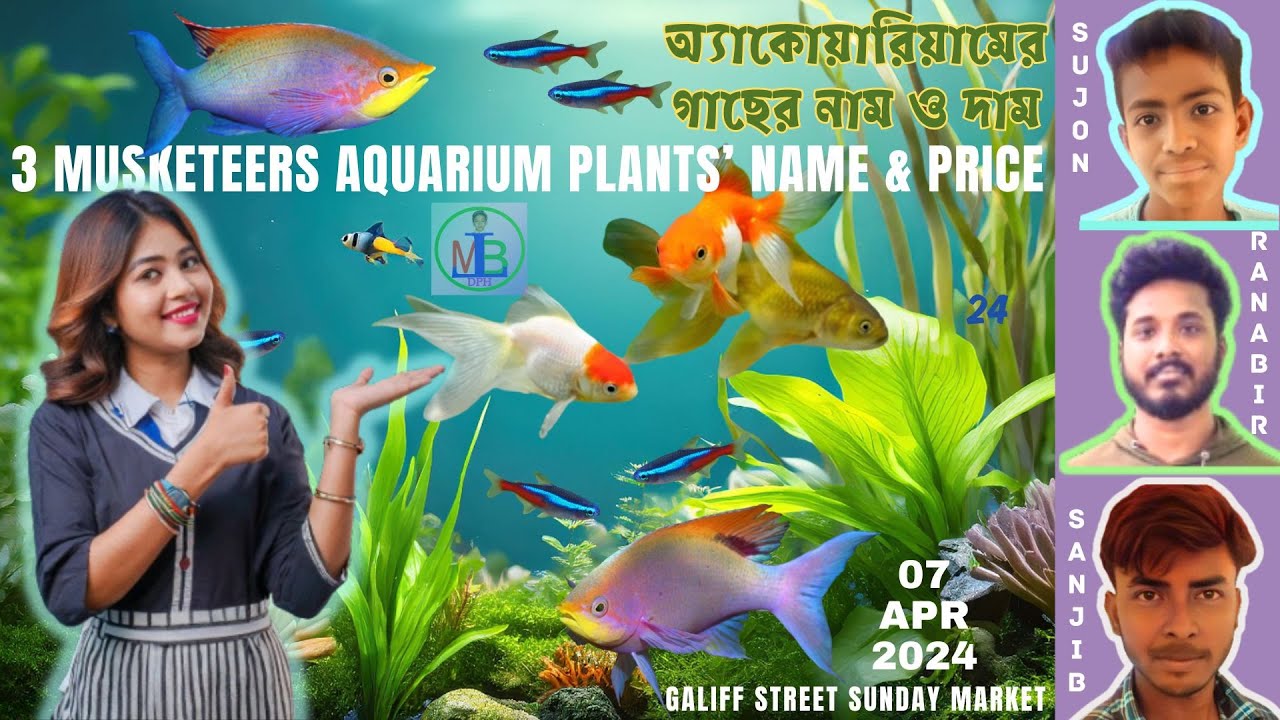 জলজ গাছের নাম ও দাম | RECENT AQUARIUM PLANTS PRICE UPDATE | PRICE FROM 3 SELLERS | 07APR2024
