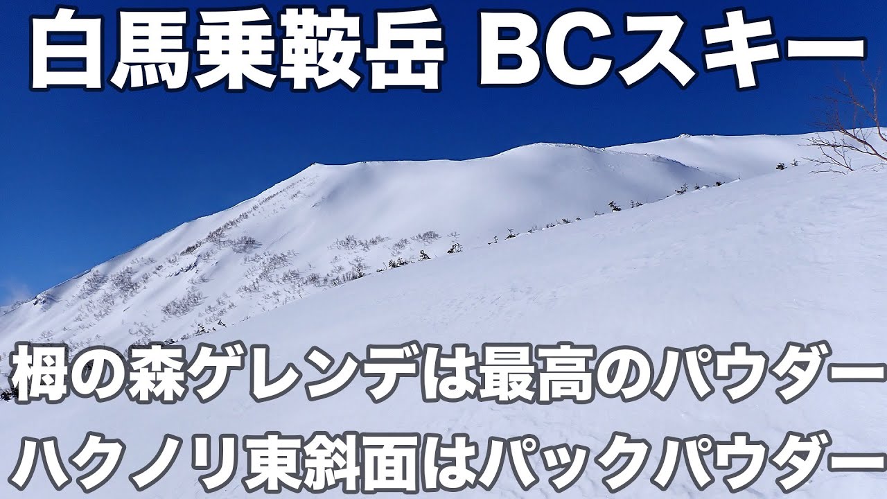 白馬乗鞍岳 BCスキー 2026年1月9日 栂の森ゲレンデは最高のパウダー、ハクノリ東斜面はパックパウダー