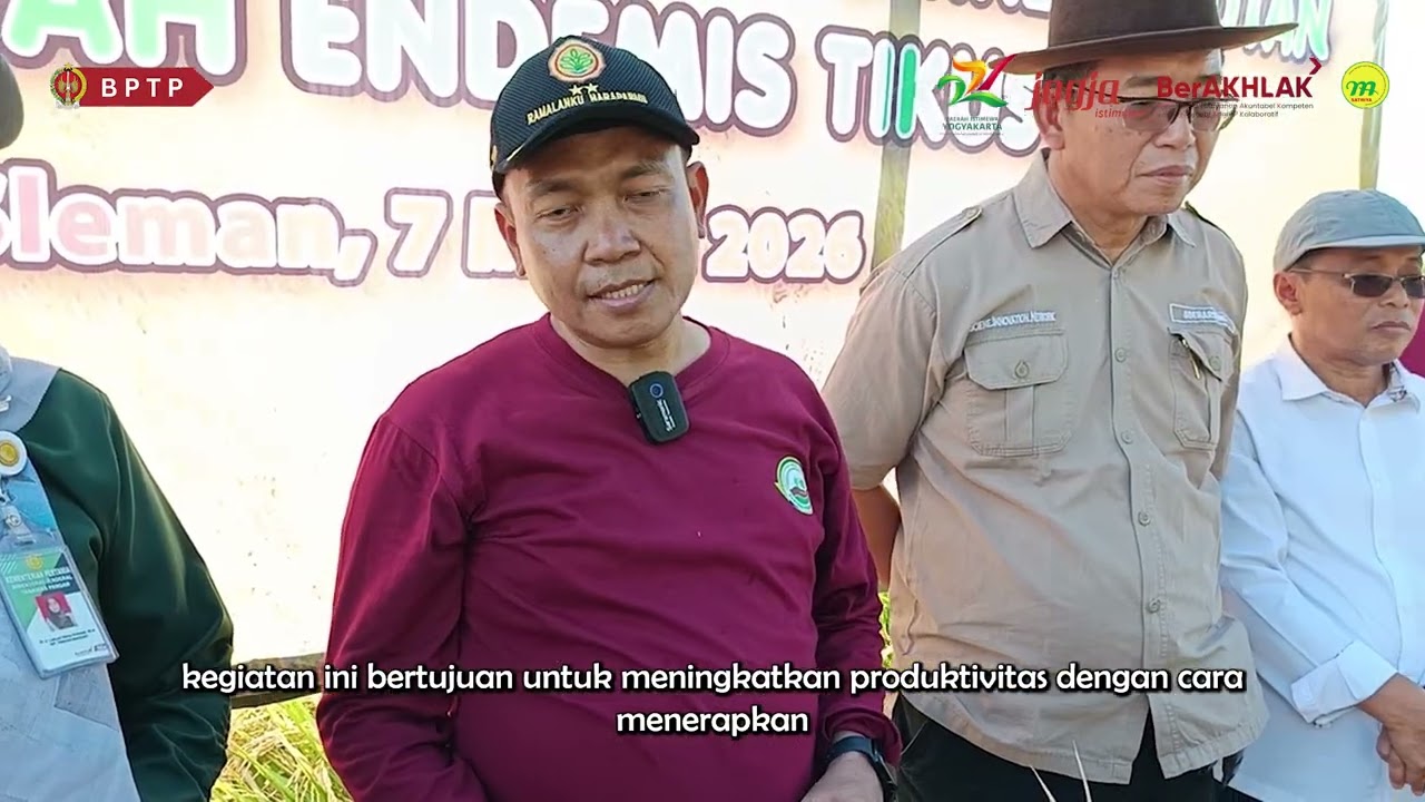 Vlog 212 Sukses Panen Padi di Kampung Peramalan Sleman Tahun 2026