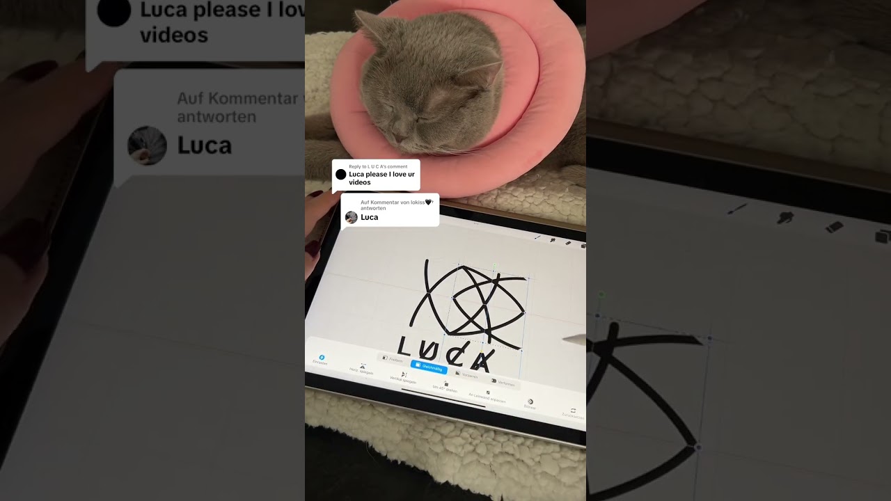 Mastering Logo Design in Procreate: Apple Pencil Tips & Tricks! 