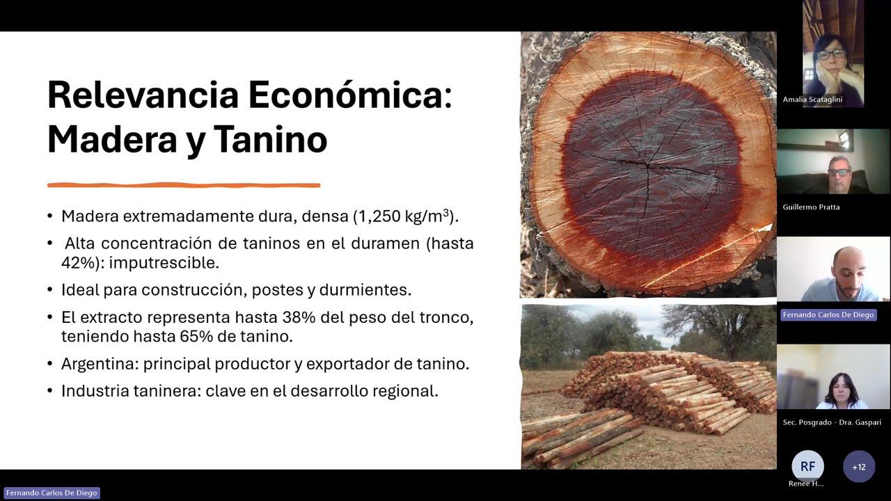 DEFENSA DE TESIS DE DIEGO 2025 11 17
