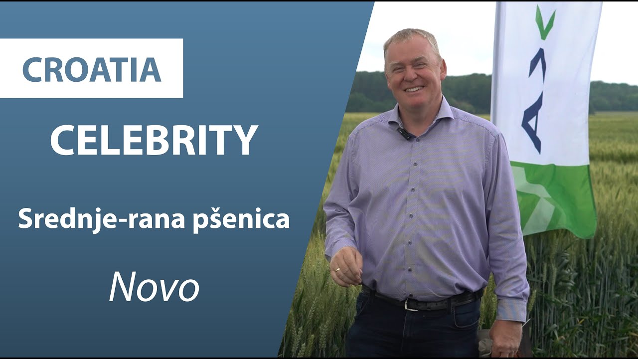 CELEBRITY NOVO 2025 | Axereal Croatia