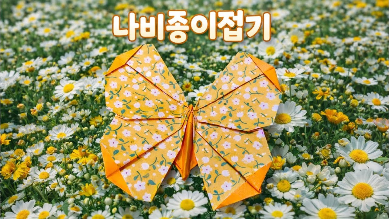 나비 종이접기 - Origami Butterfly