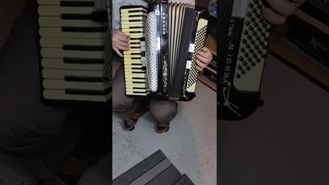 Hohner 120 Bass triple Mussette accordion