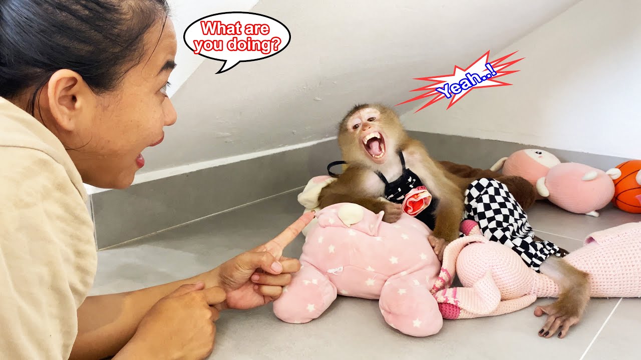 Monkey Lyly crawled under the stairs to do this, making her mother laugh.