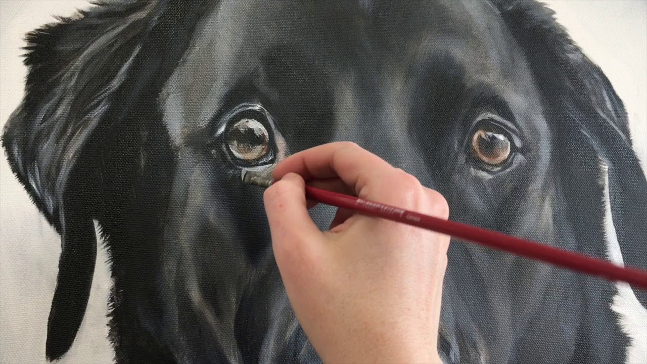 Painting a Dog's Eye: How Many Layers Does it Take?
