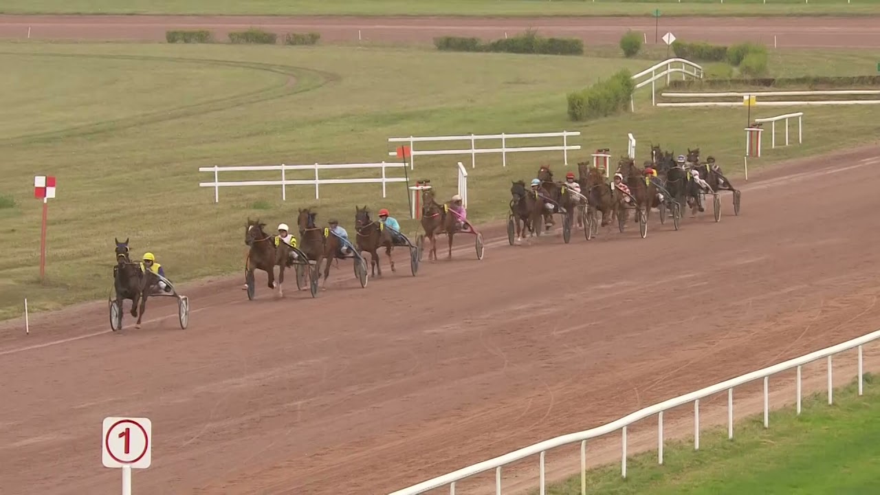 GNT Paris-Turf - Etape 11 : ARGENTAN - La course - FIRE CRACKER