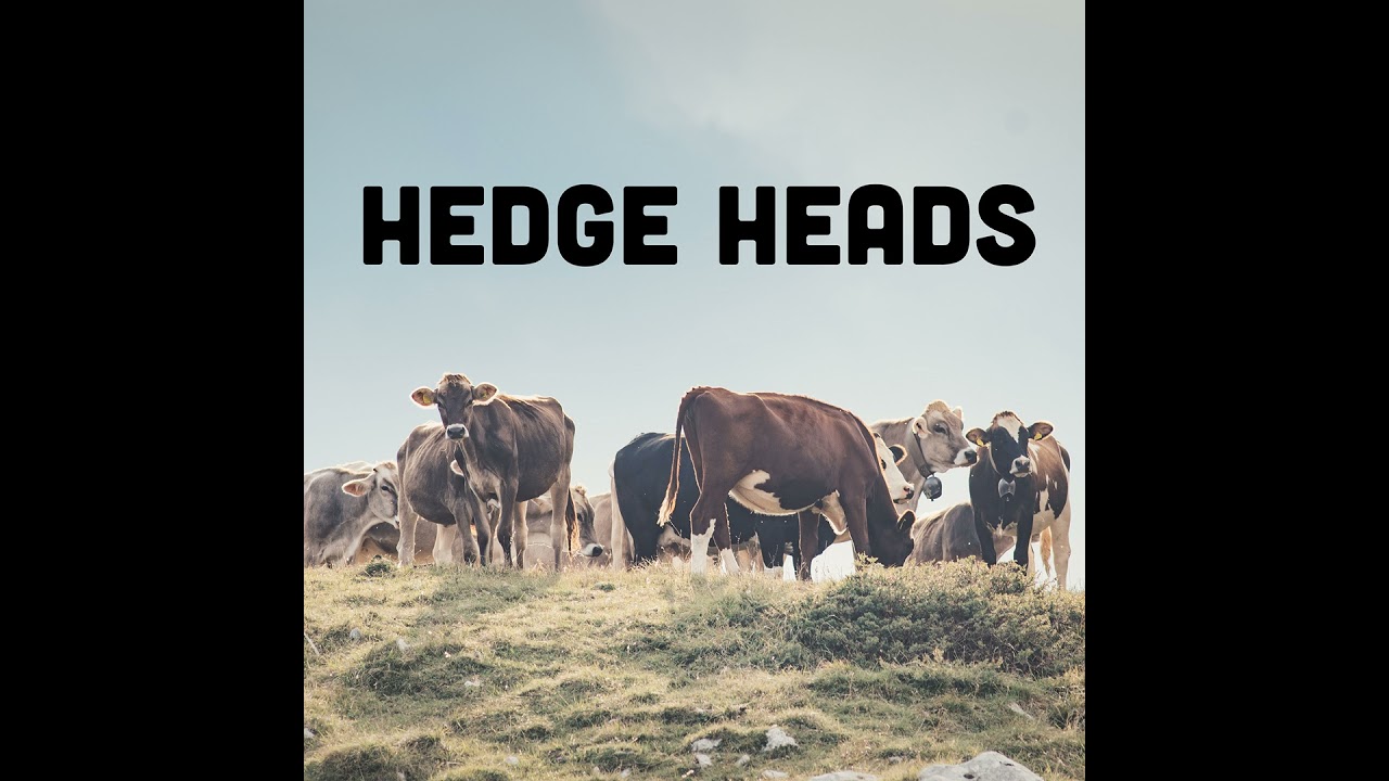 Spring Panic, Soybean Moves & Cattle Hedges: What to Do When Nothing Works