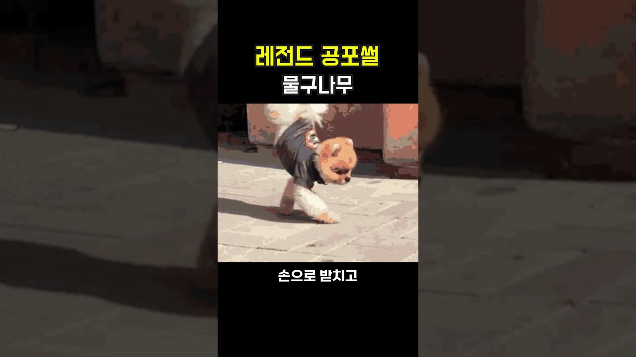 레전드 공포썰 [물구나무]
