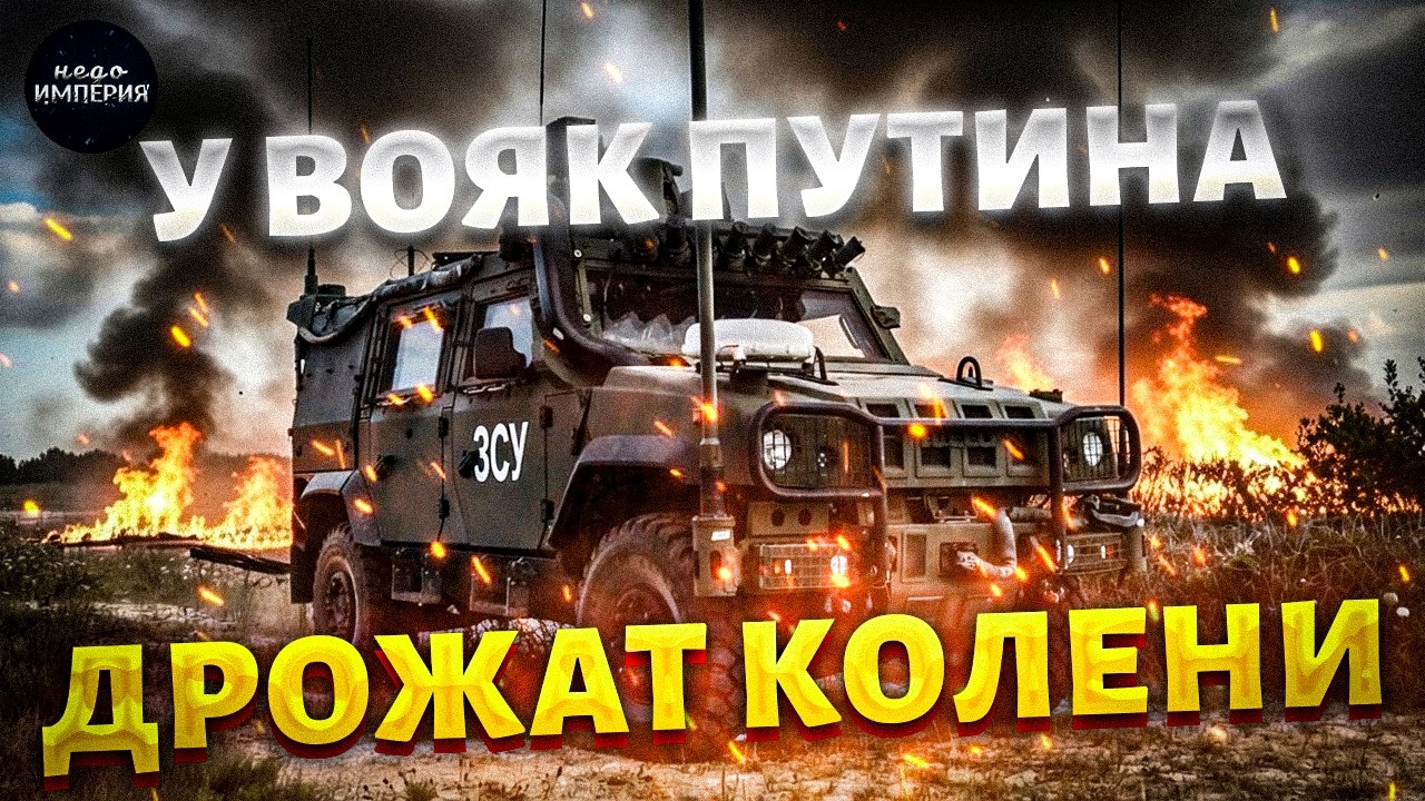 Эту машину хотят все армии мира! Гараж ВСУ пополнился броневиками Iveco LMV. Первый обзор | Арсенал