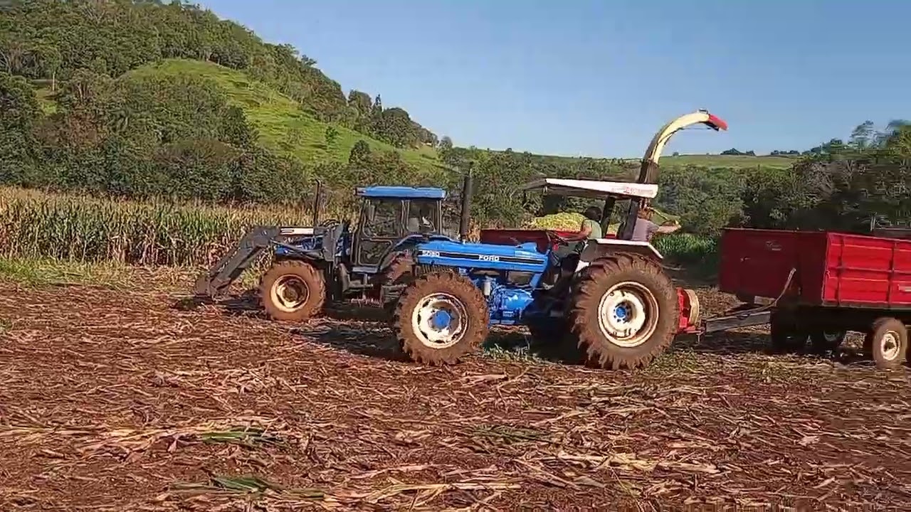 Ford 6610 +nogueira pecus 9004 +carreta Turim 6 Ton final da silagem safrinha