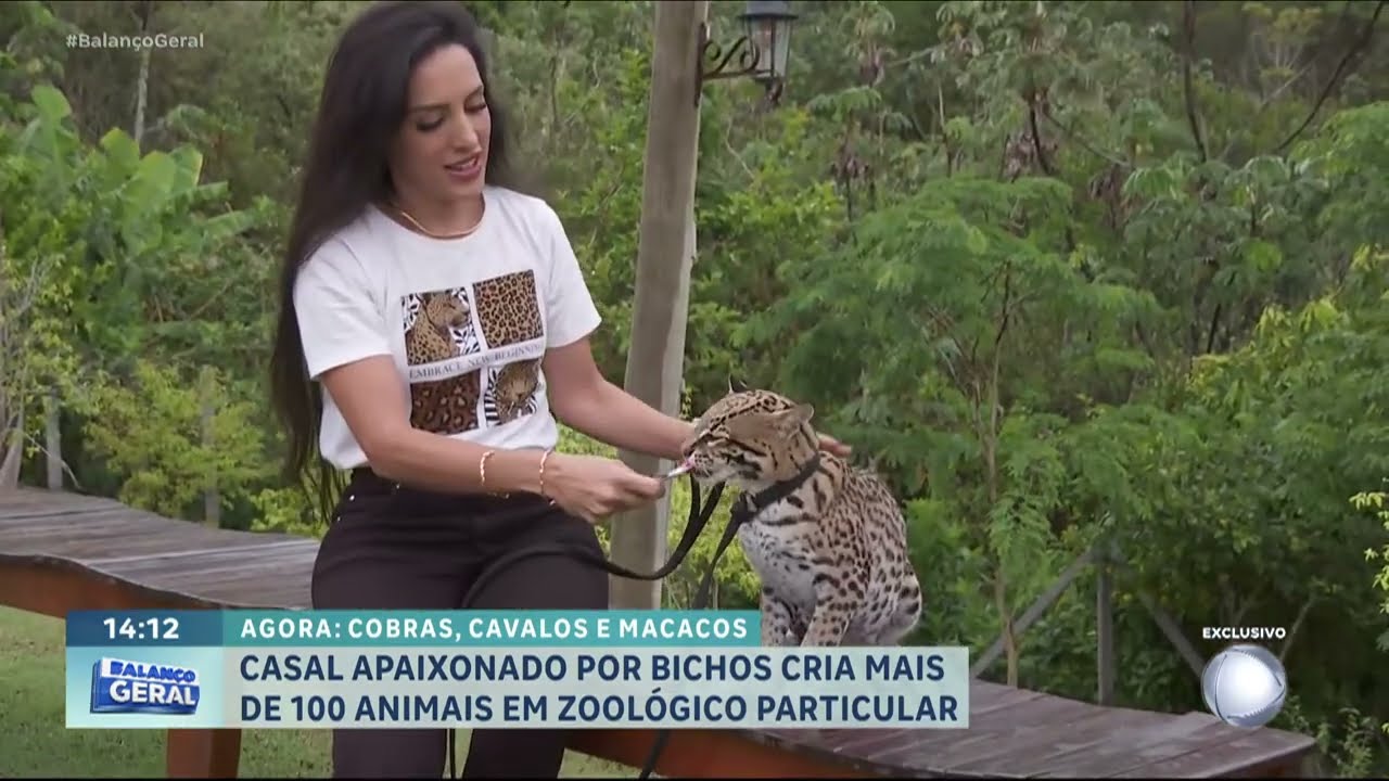 Casal apaixonado por bichos cria mais de cem animais em zoológico particular | BALANÇO GERAL