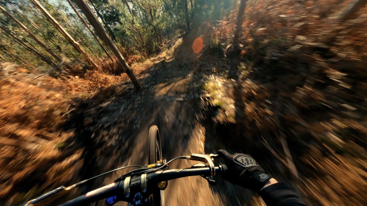 DH DEGOLLADA 2024