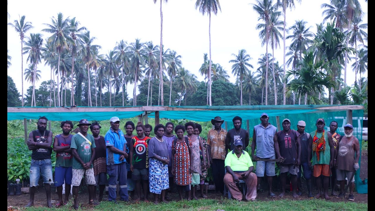 PNG at 50 🇵🇬 | How Nova Cocoa Farmers Are Reviving Bougainville's Spirit