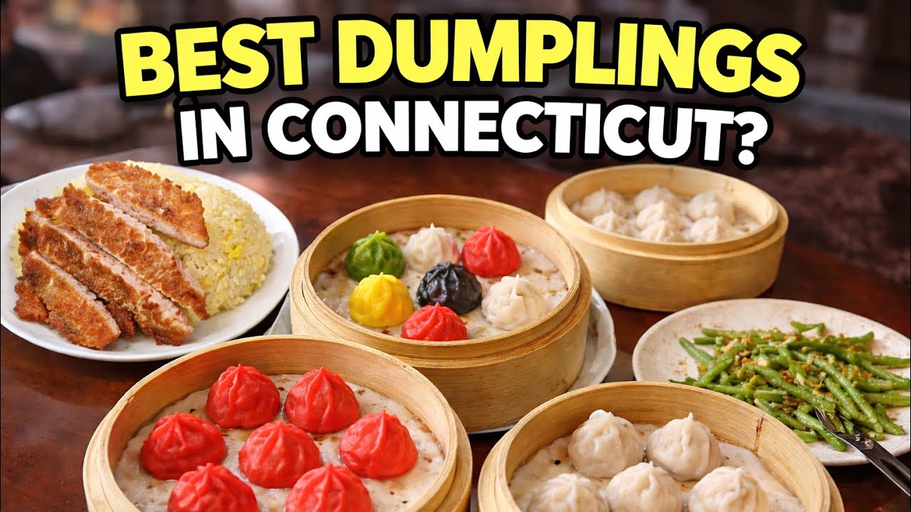 Is Ugly Dumpling the BEST Dumpling Spot in Connecticut?