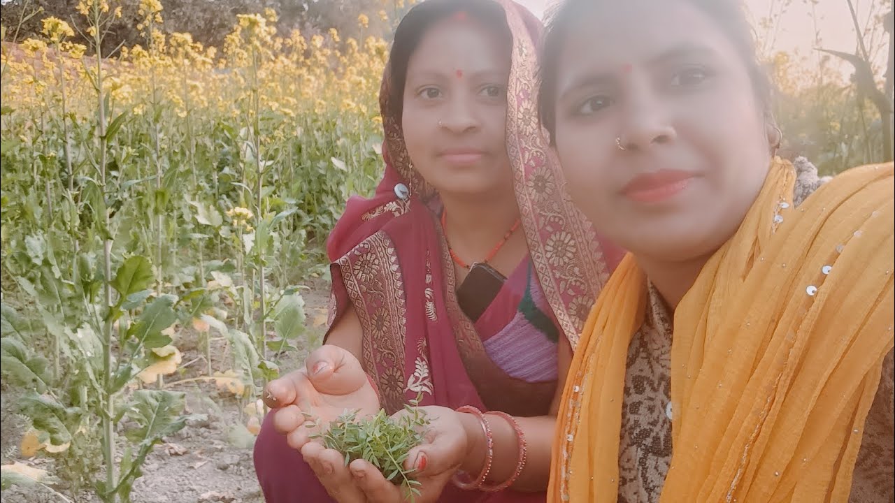आज हम लोग चना के खेत में गेहूं चना का साग खाने 