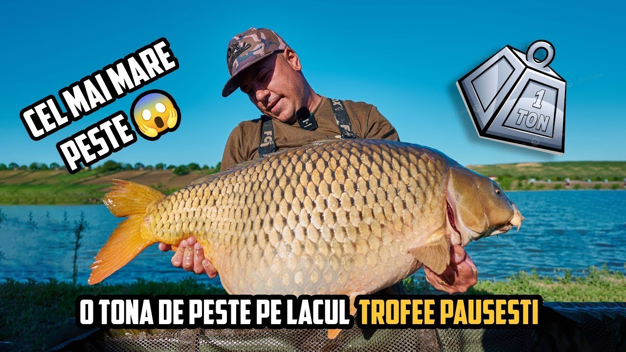 O Tona de Peste Si Captura Lacului Pe Trofee Pausesti