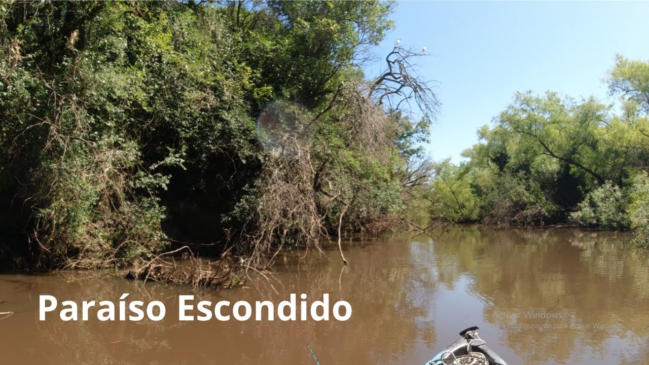 La Pesca Más INCREÍBLE De TARARIRAS En Este Río