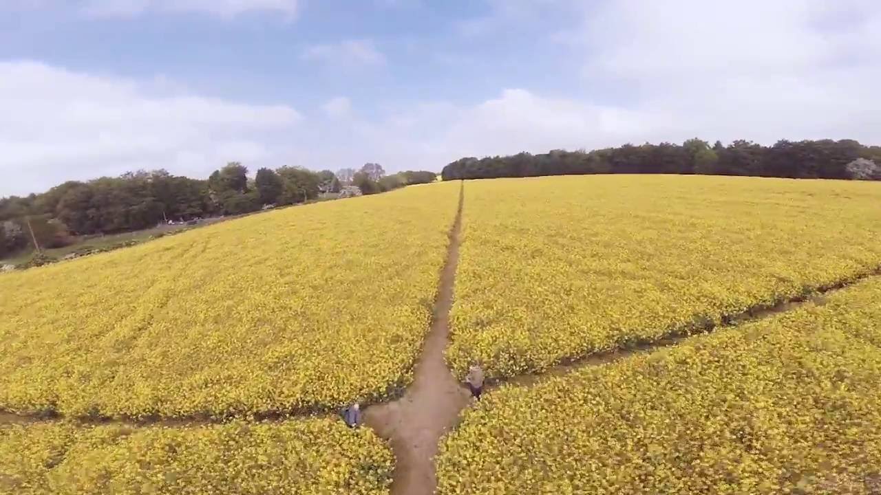 GOD I LOVE FPV!!!