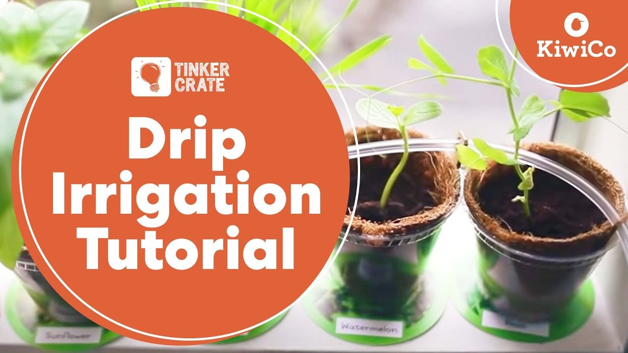 How to Make a Drip Irrigation System | Tinker Crate Project Instructions | KiwiCo