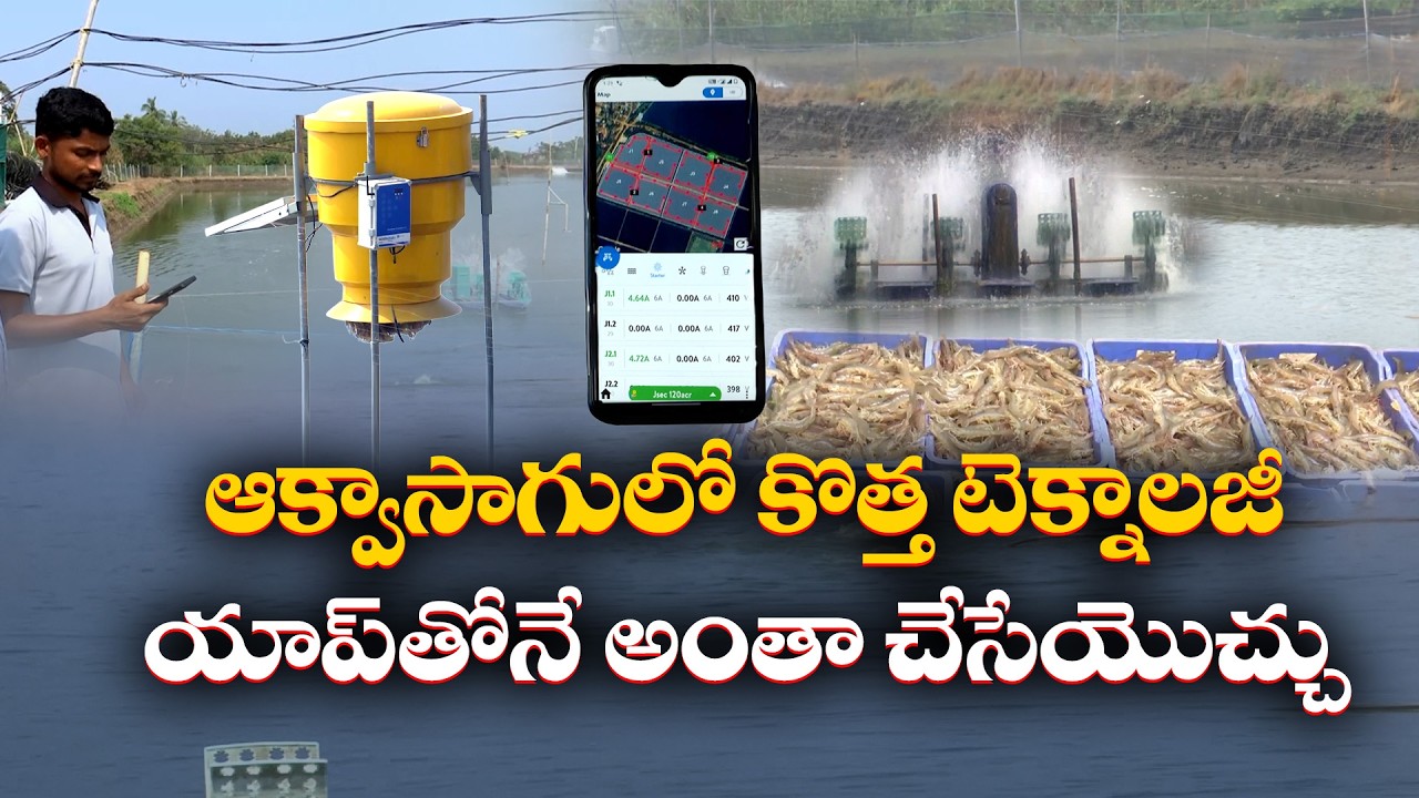 New Aqua Farming Pilot Project in Krishna District | Big Boost for Fish Farmers || Idi Sangathi