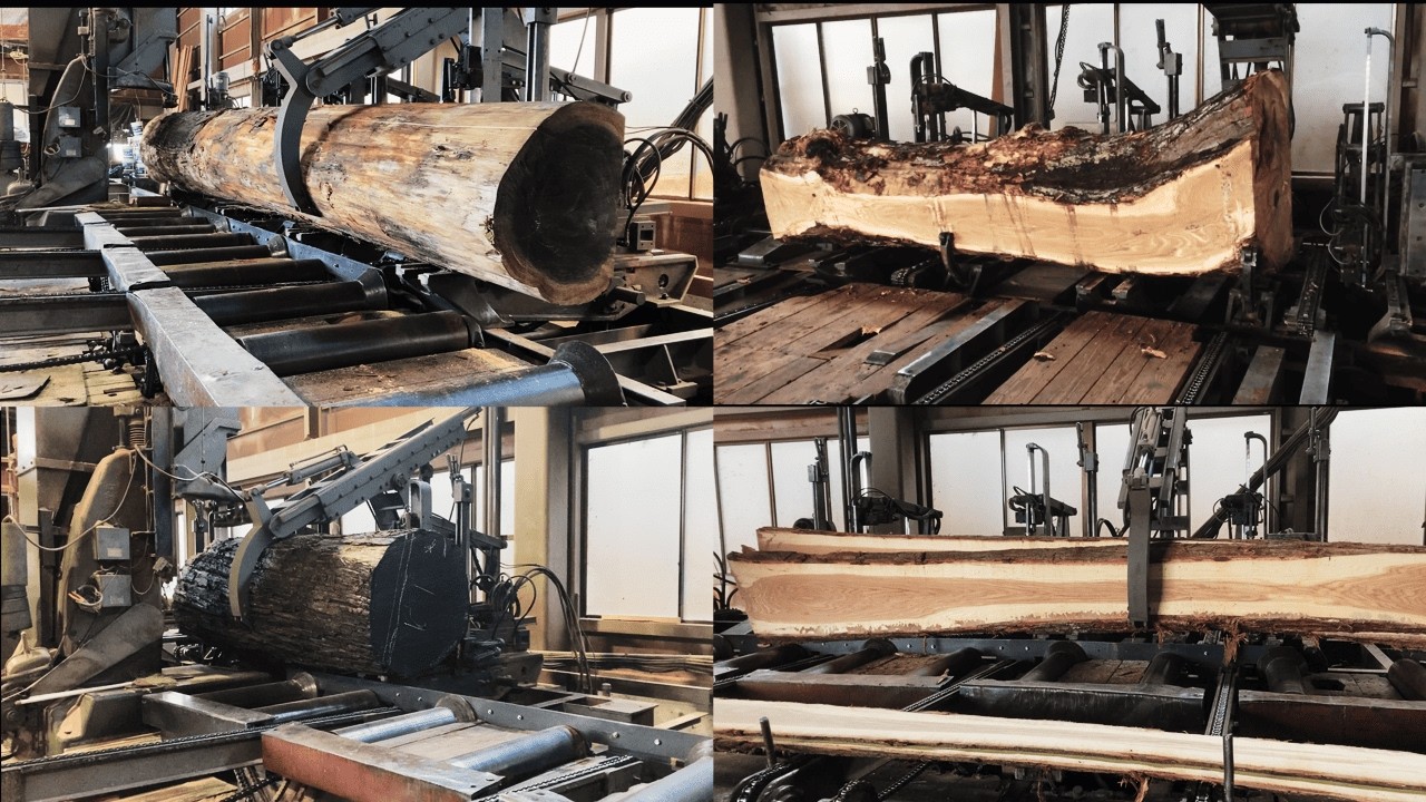【製材】いろんな木を製材する。 Japanese sawmill #sawing