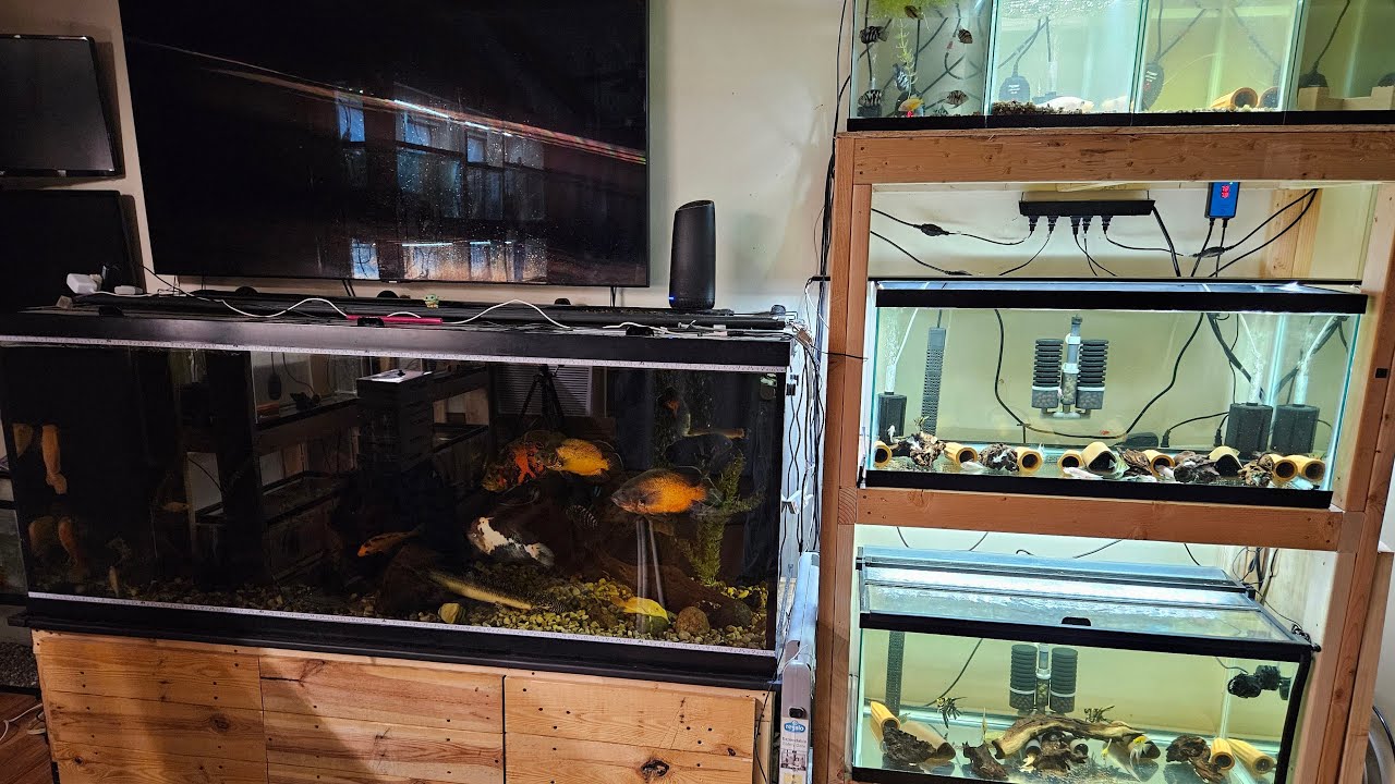 installing air line drops on aquariums